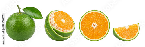 Slices of lime orange and lemon citrus fruits