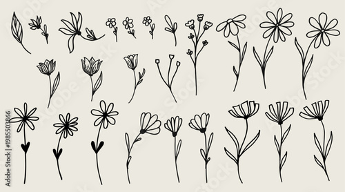 Set of beautiful flowers in vector.