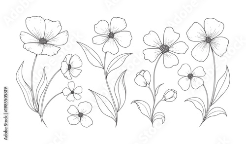 Hand drawn line floral with delicate petals and leaves flower botanical nature outline