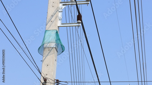 Snake Guard Net on Power Pole. Green Snake Trap Net on High Voltage Power Pole prevents snakes or reptiles from crawling up the power pole and causing short circuits, with copy space available with fo