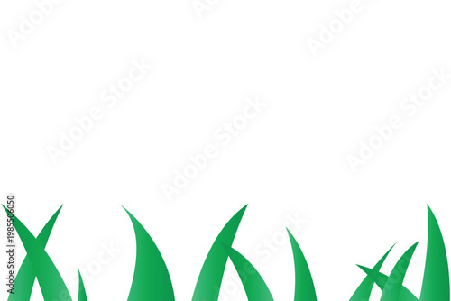 green grass background