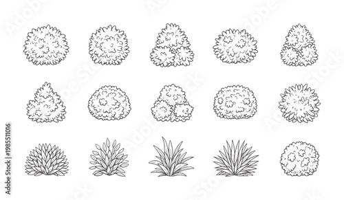 Collection of hand drawn stylized bushes and shrubs in various shapes plant nature