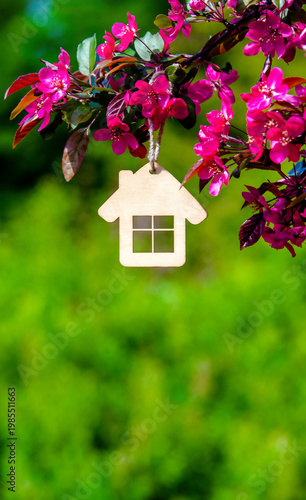 Wallpaper Mural Symbol of the house on the branches of a flowering decorative apple tree
 Torontodigital.ca