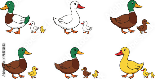 Duck Collection Set with Cartoon Adult Ducks and Cute Ducklings Isolated on White Background Vector Illustration