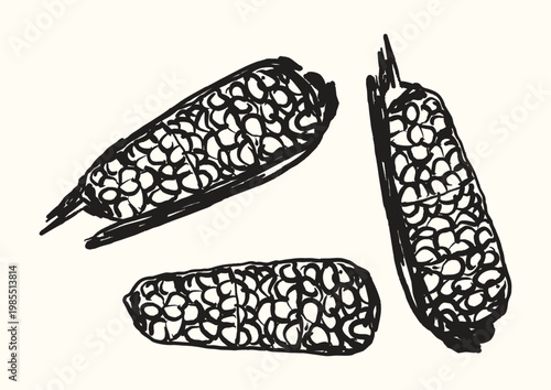 Vintage Corn Cob Set Rustic Farm Vegetable Collection