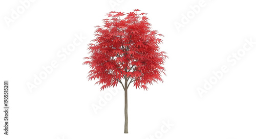 Red tree with autumn leaves isolated on white background