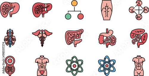 Human Anatomy Vector Set with Organs, DNA, Brain, Body Parts, and Medical Symbols