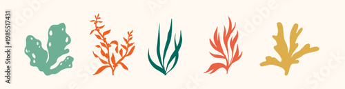 Coral template design silhouette vector. Underwater ocean coral, plants, leaves, algae and branches. Save the water. 