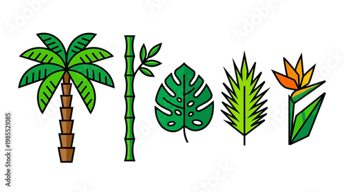 Tropical leaves and plants illustration.