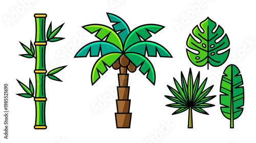 Tropical plants and leaves illustration.