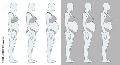 Pregnant Woman Body Progression Vector Illustration Set