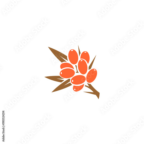 This flat-design graphic depicts a cluster of vibrant orange sea buckthorn berries growing on a stylized brown branch with several pointed leaves.