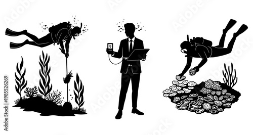 Divers exploring coral reefs with a scientist during underwater research silhouette