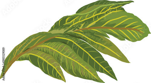 Cartoon vector illustration of breadfruit leaf