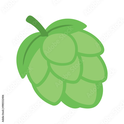 Fresh hops cone illustration in bright green shades on plain white background