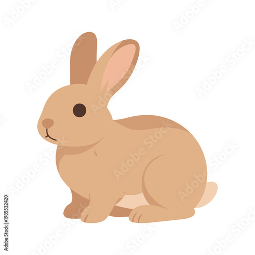 Cute light brown rabbit sits with its ears erect against a white background