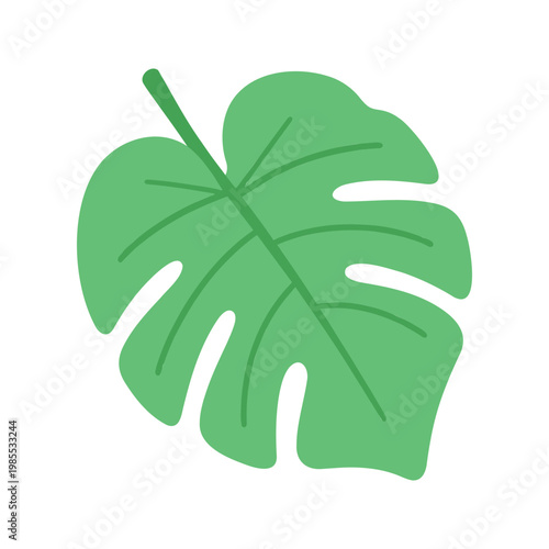 Stylized monstera deliciosa leaf illustration with vibrant green color and distinct fenestrations