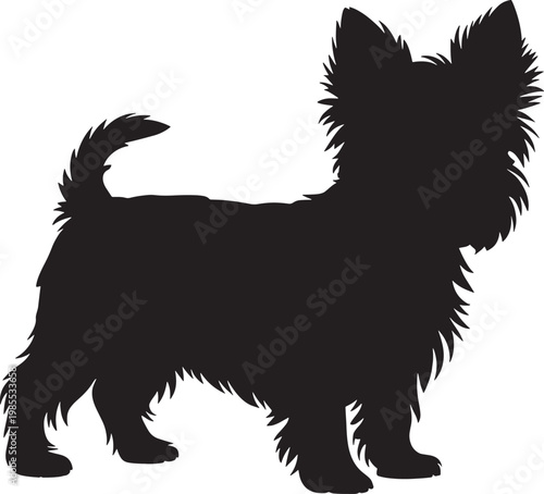 Black silhouette of small terrier dog standing on transparent background for profile pet graphic art