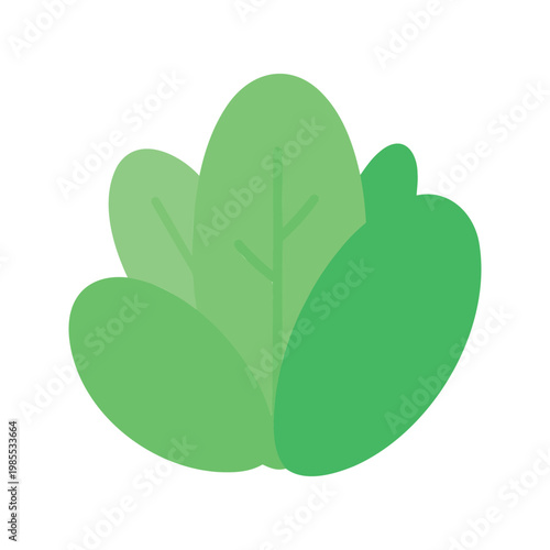Fresh green salad leaves in an illustration style for healthy eating concepts