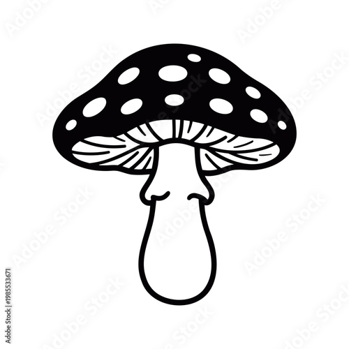 Amanita mushroom illustration with distinctive spots in a minimalist style on a white background