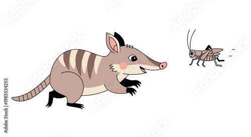 Cartoon numbat chasing a fleeing grasshopper illustration in playful style on white background for kids book and educational materials
