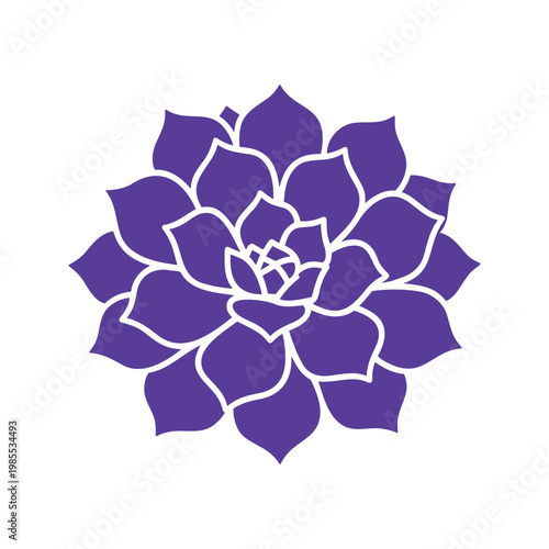 Elegant purple succulent blossom with radial symmetry and defined edges in a simple vector design
