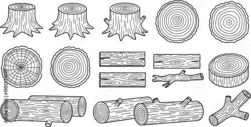 Various tree trunks and logs with visible rings and textures wood slices tree rings wooden textures