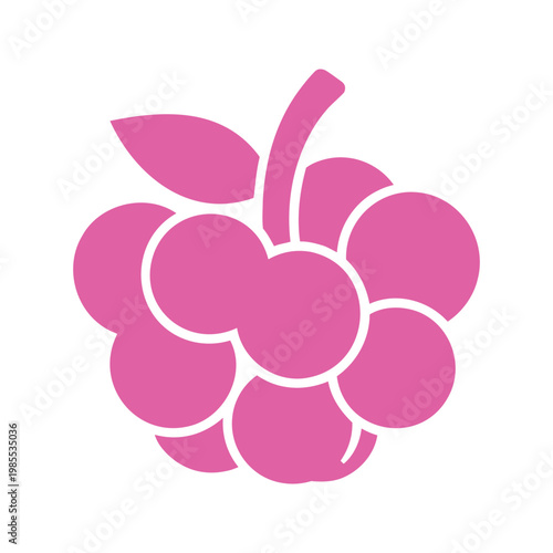Illustration of a raspberry with leaf and stem, in pink color, on a white background