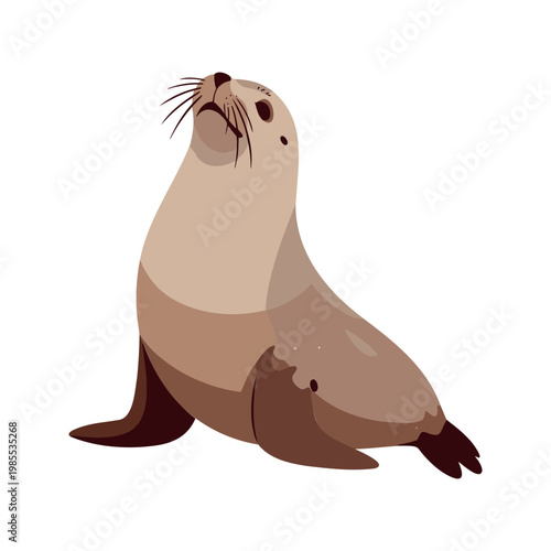 Sea lion gazes upward with curiosity in a cartoon style illustration on white background