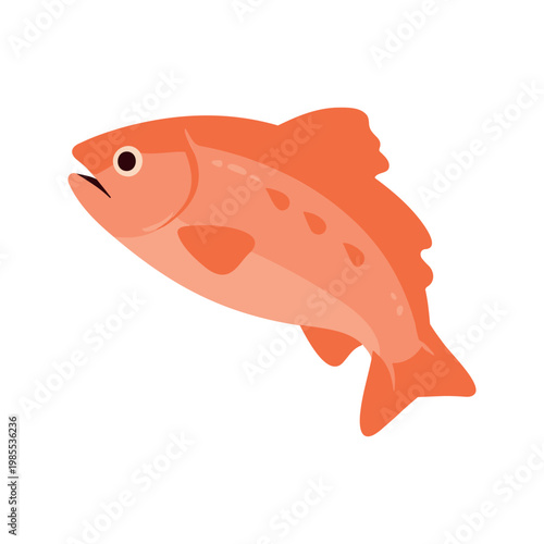 Illustration of a vivid reddish orange fish with distinctive fins and scale markings