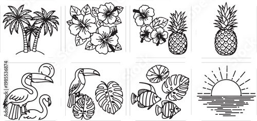Black and white sketches of various plant species and botanical elements Vector