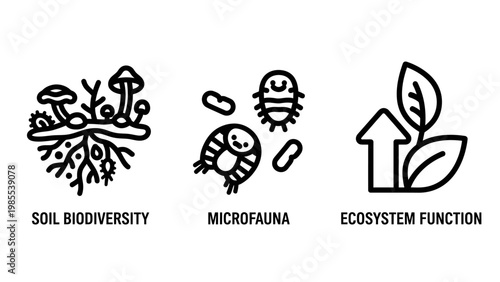 Soil biodiversity microfauna ecosystem function icons with biodiversity microfauna ecosystem function illustration environment research microorganisms microscopic organisms conservation