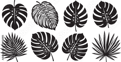 Symmetrical patterns of butterfly wings showcasing nature's intricate designs Vector