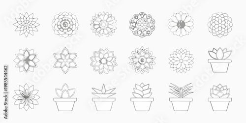 Collection of delicate hand drawn succulent and floral line art illustrations