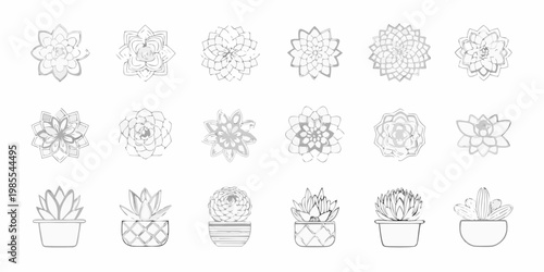 Collection of hand drawn succulent and potted plant illustrations in grayscale