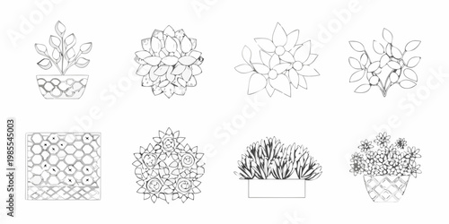 Variety of potted plant sketches arranged in a grid pattern