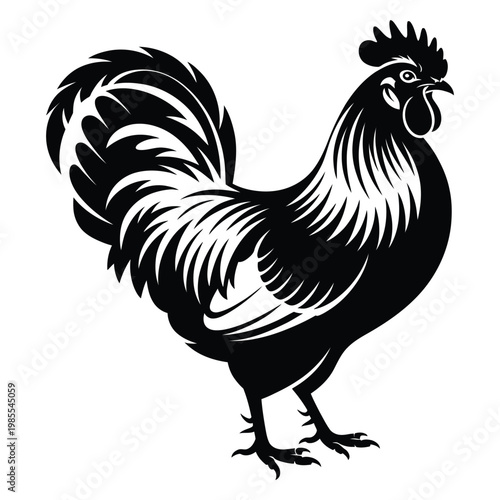 A detailed illustration of a proud rooster with ornate feather patterns a striking silhouette