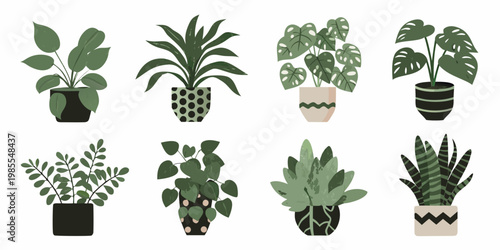Collection of various potted houseplants in a minimalist illustration style