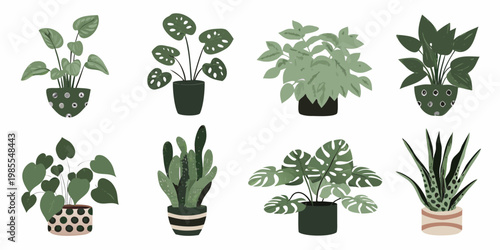 Collection of various potted houseplants with different leaf shapes and sizes