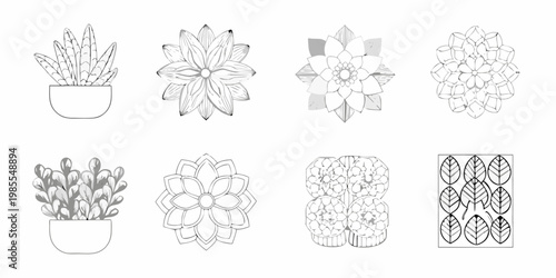 Collection of hand drawn succulent and leaf botanical illustrations in grayscale