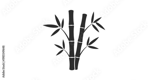 Bamboo Stems with Leaves Illustration.
