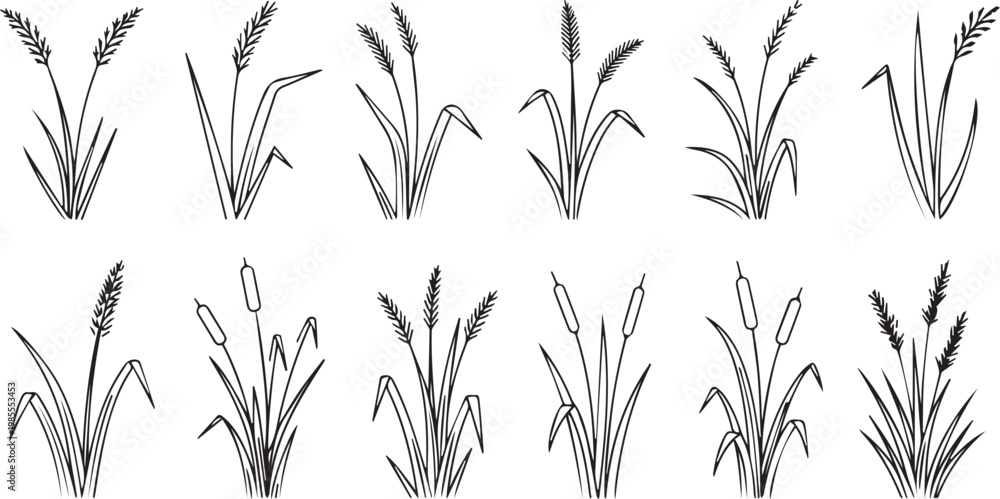 Fototapeta premium Simple Nature Sketches of Grain Stalks and Field Grass for Branding