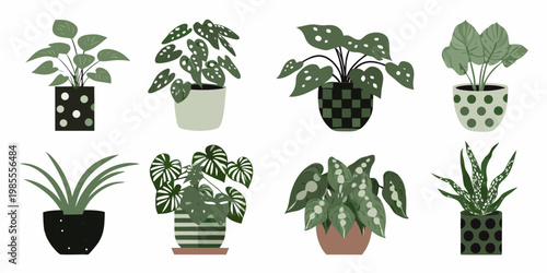 A collection of various potted houseplants in a minimalist style