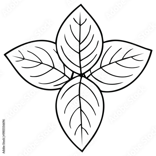Wallpaper Mural Illustration of stylized leaves arranged in a symmetrical pattern, black outlines Torontodigital.ca