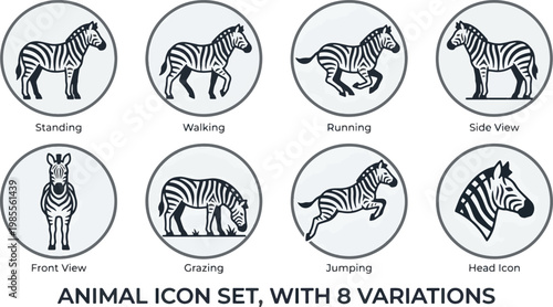 Zebra animal icon set featuring 8 variations including standing, walking, running, grazing, jumping, front view, side view, and head icon. Flat vector illustration with clean lines on white background