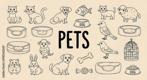 A collection of various pets and pet accessories in a line drawing style on a beige background