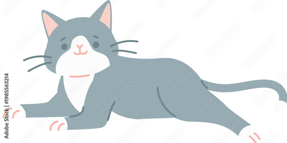Fototapeta premium Grey lying cat