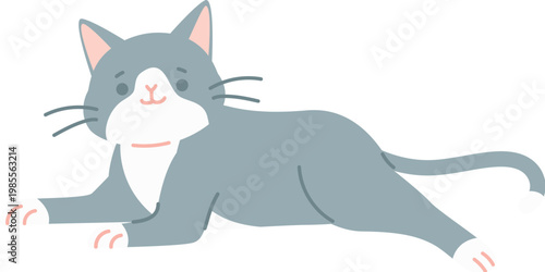 Grey lying cat