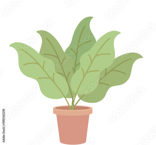 green potted plant