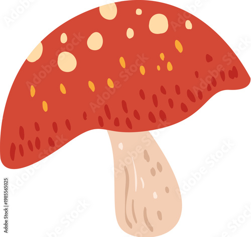 Photos Fly agaric